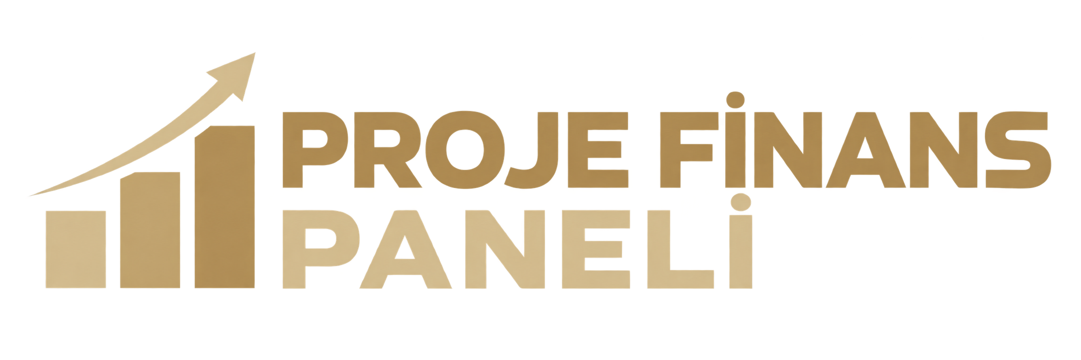 Proje Finans Paneli